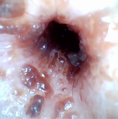 最新の写真を表示 2.png