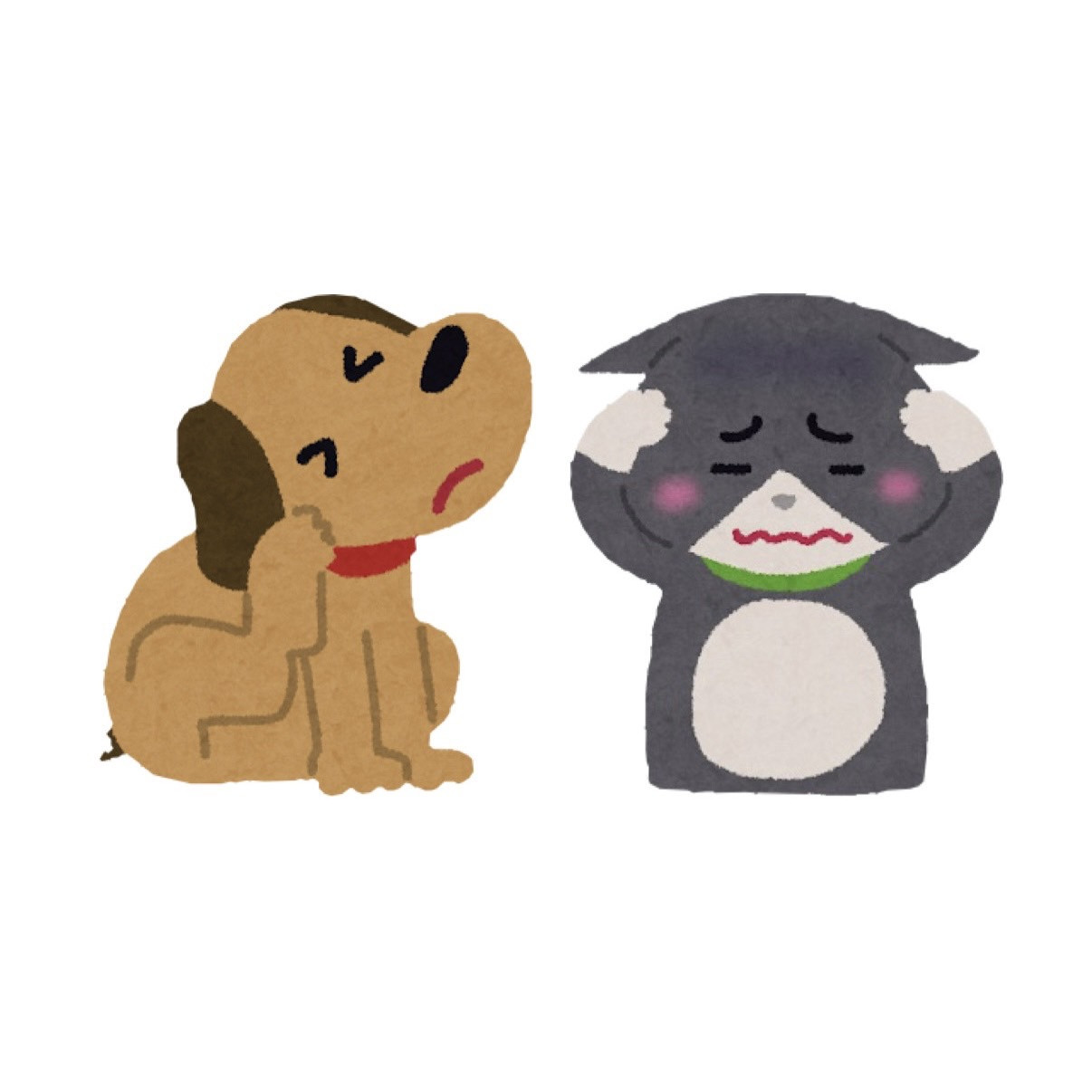 犬猫の耳掃除、やりすぎ注意？正しい頻度と外耳炎予防のポイント｜愛知県一宮市　おおい動物病院