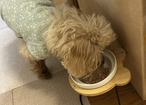 たくさん食べるあずき