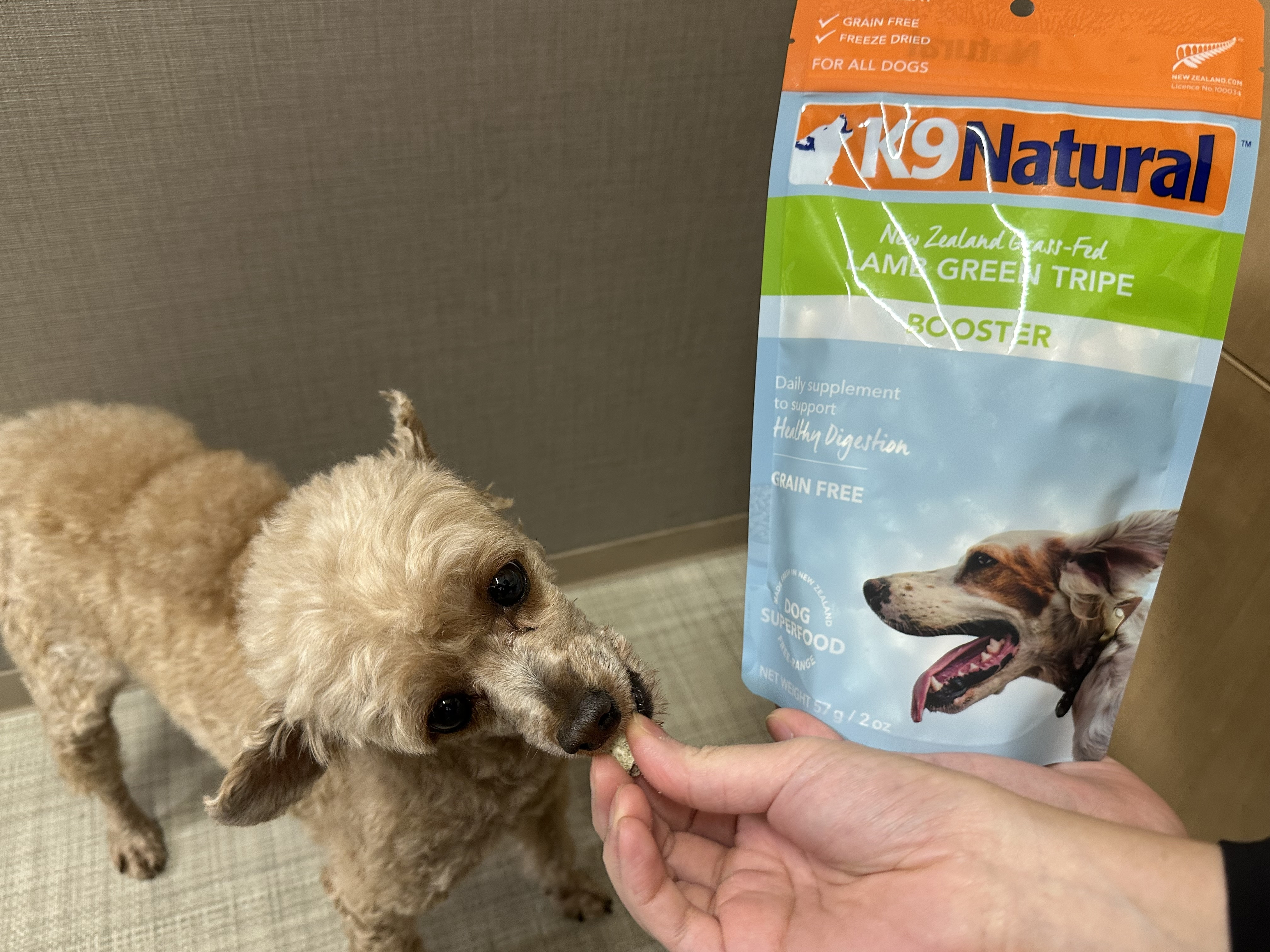 「総合栄養食」と「一般食」ってどう違う？愛犬・愛猫に合った正しいフードの選び方を獣医師が解説！｜愛知県一宮市　おおい動物病院