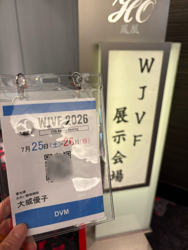 【学会・実習報告】大阪WJVFにて「オトスコープ×レーザー」の実習に参加してきました＜副院長＞