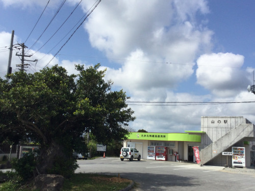 高江共同売店.JPG