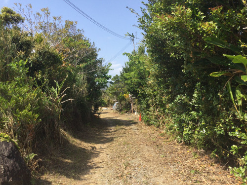 進入路1.JPG