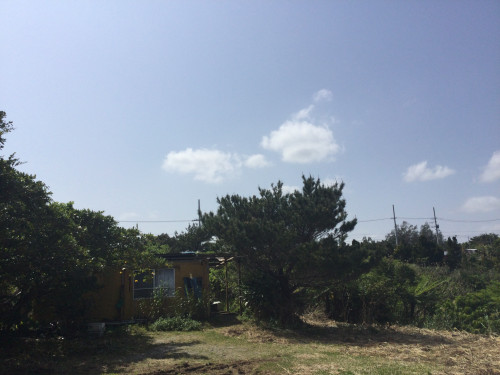 西側小屋1.JPG