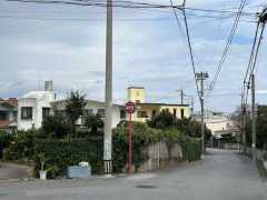 IMG_8550.jpeg