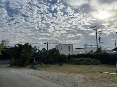 IMG_8548.jpeg