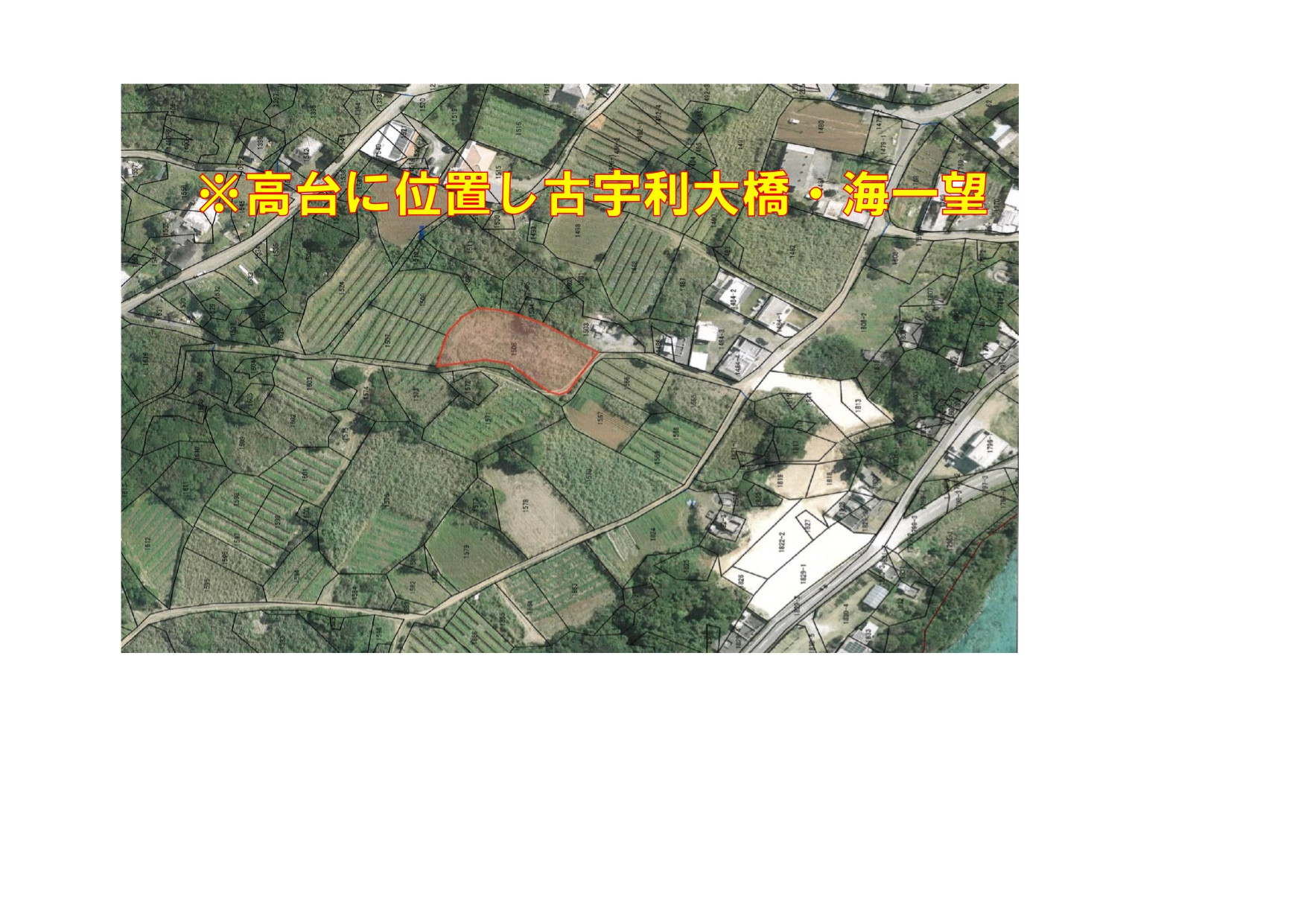 古宇利島　土地　394.46坪　8,678万円