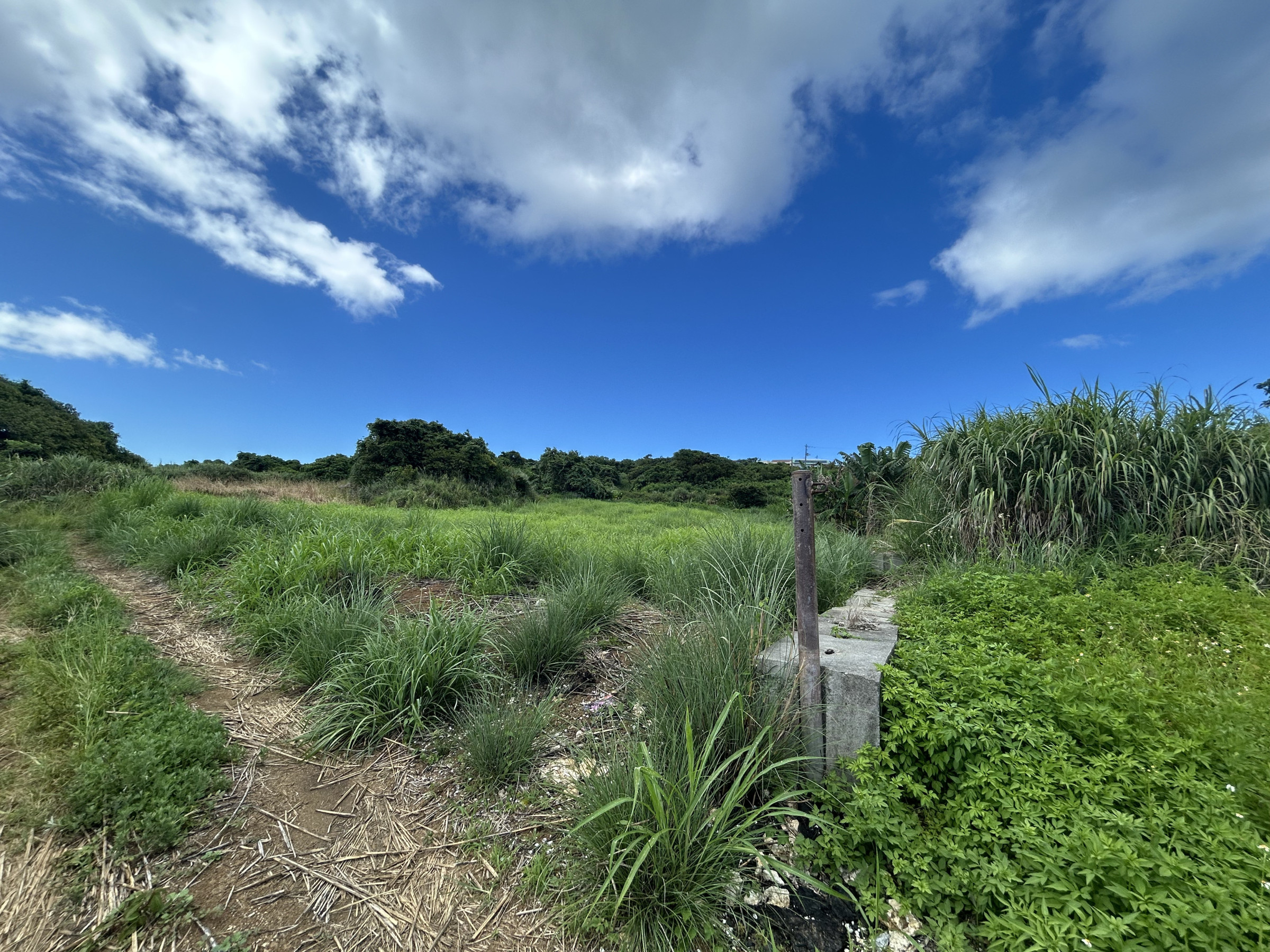 古宇利島土地（農地転用手続中）　394.46坪　8,678万円