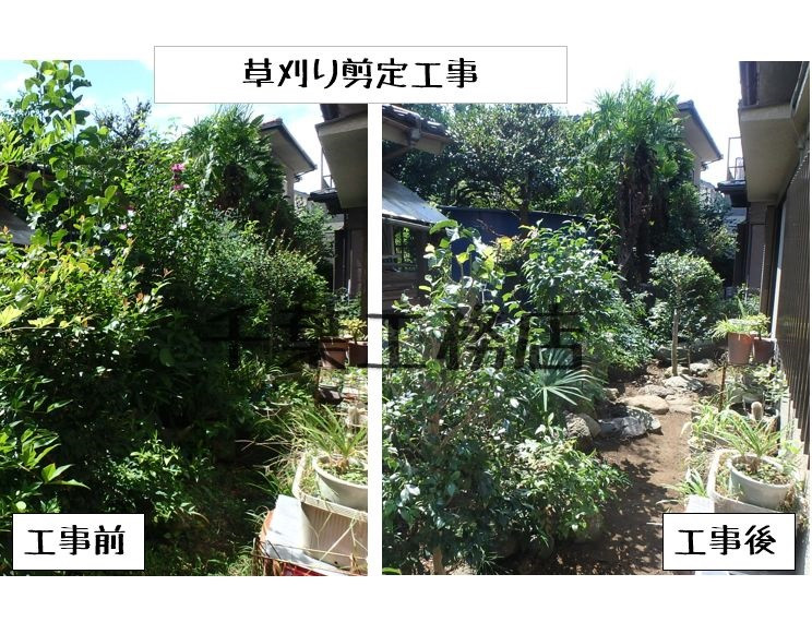 草刈り剪定工事の施工例を掲載しました。