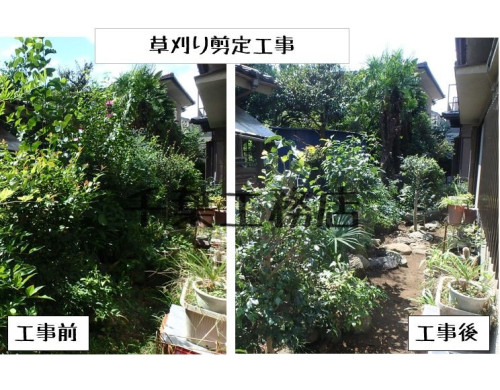 草刈り剪定工事の施工例を掲載しました。