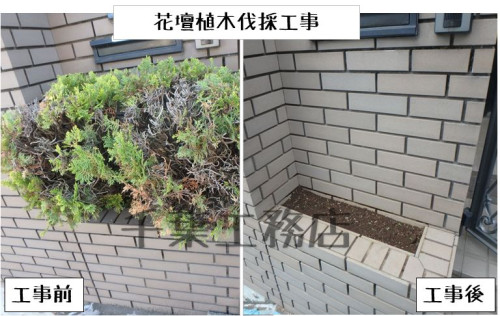 練馬区大泉町・植木伐採の施工例を更新しました。