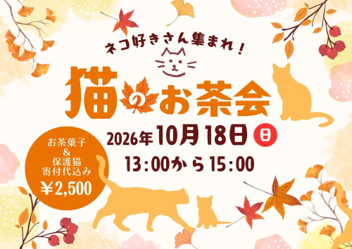 秋の特別企画『猫と癒しのお茶会』
