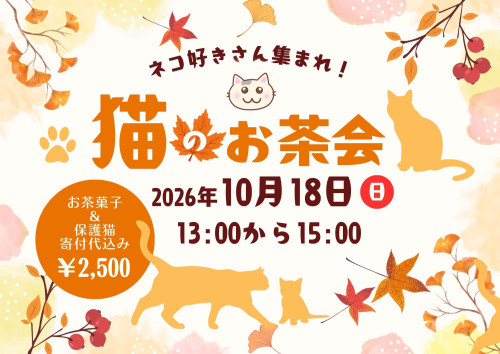 秋の特別企画『猫と癒しのお茶会』