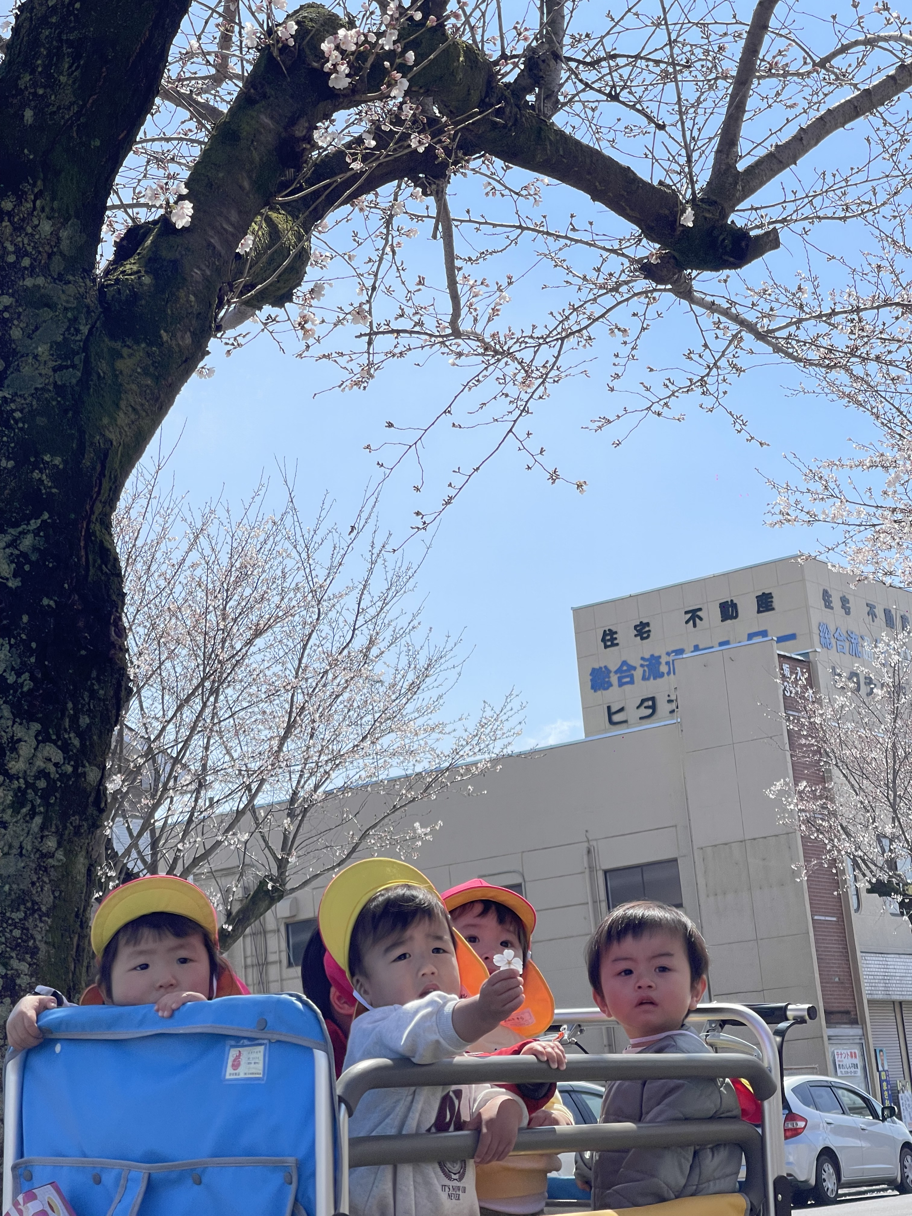 IMG_0069.jpeg
