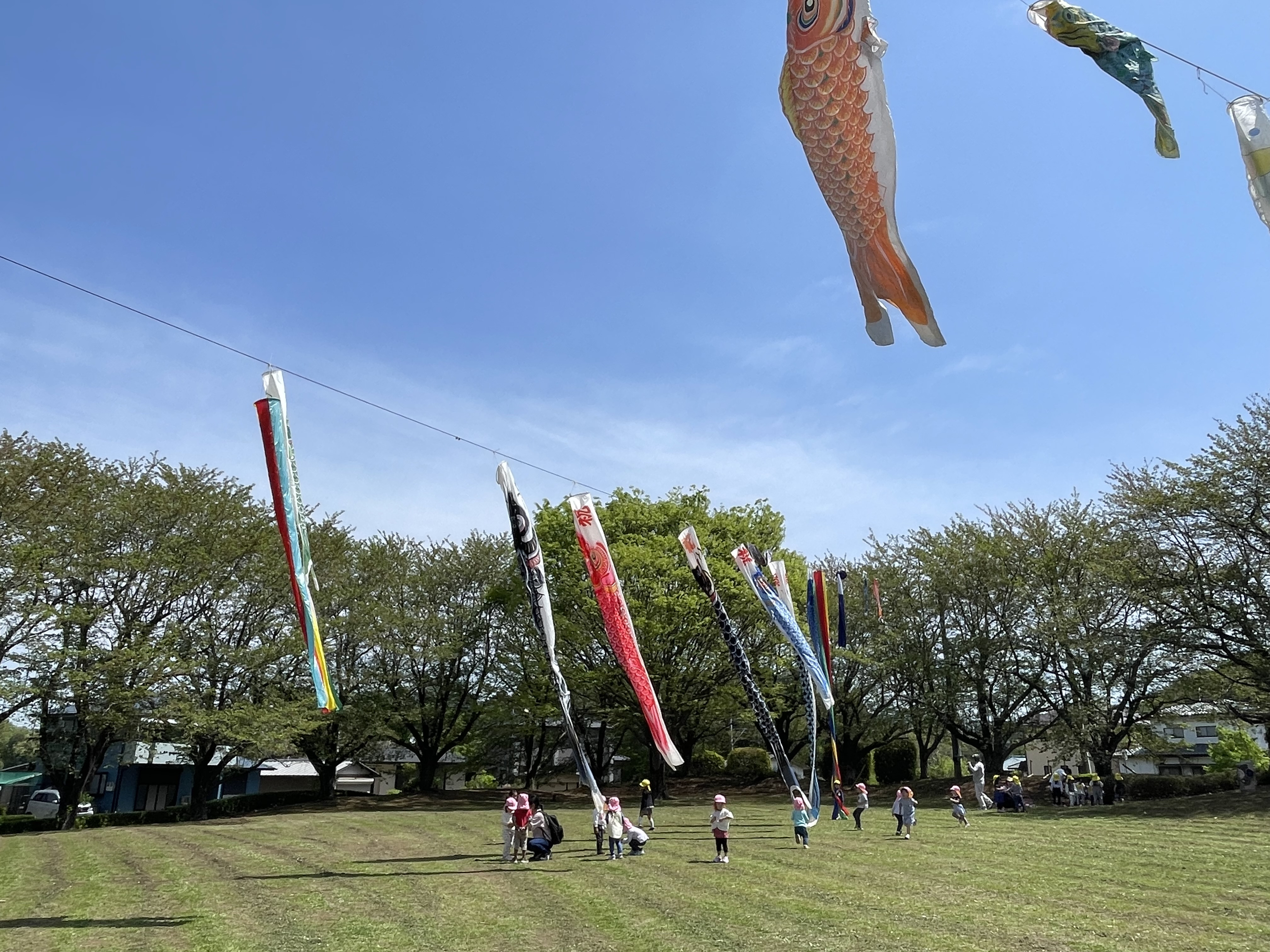 IMG_0310.jpeg