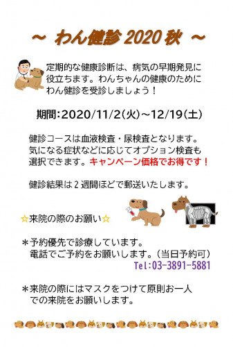 わん健診2020秋始まりました！