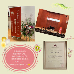 IMG_2923.jpeg