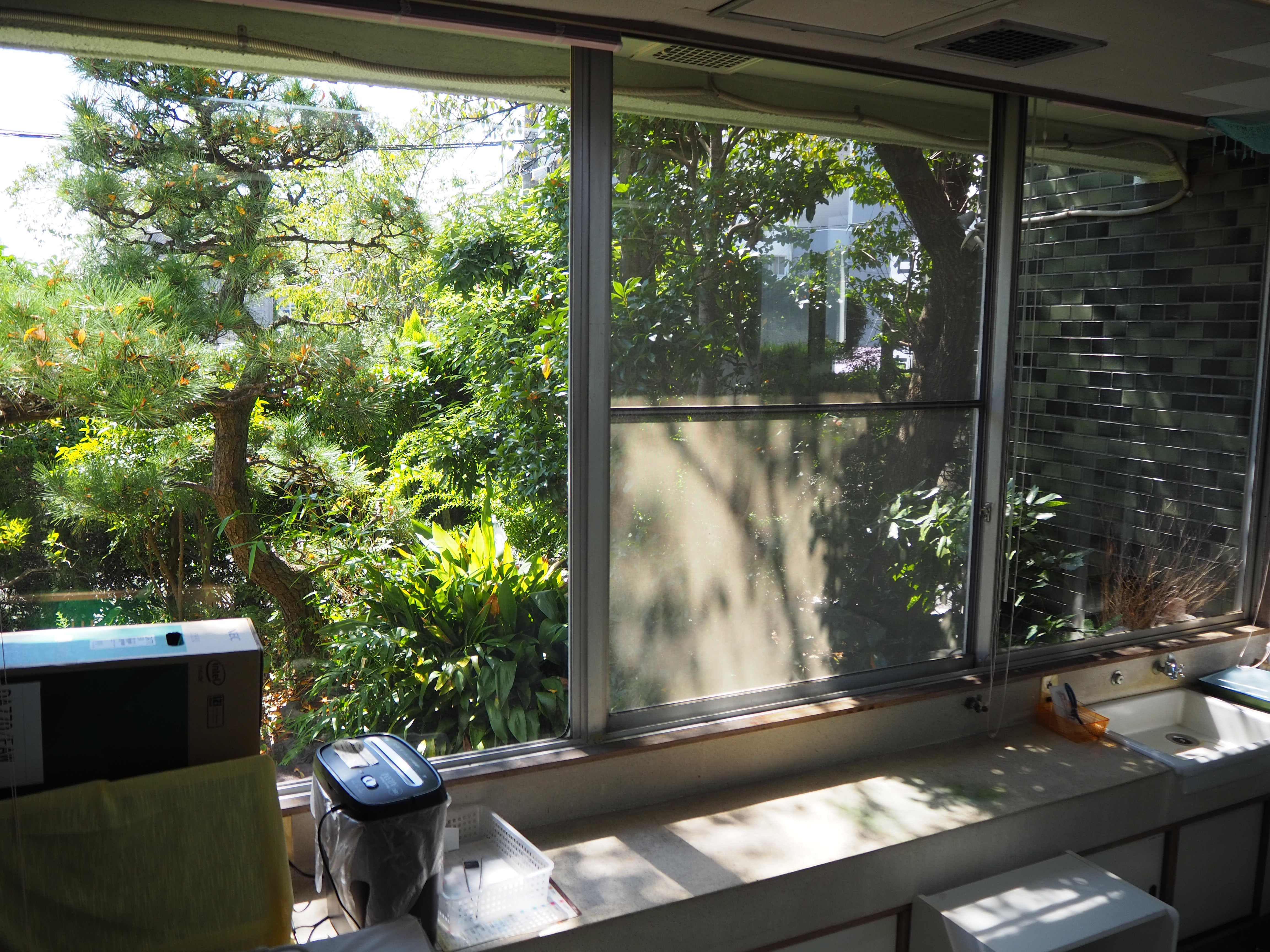 診察室の窓.JPG