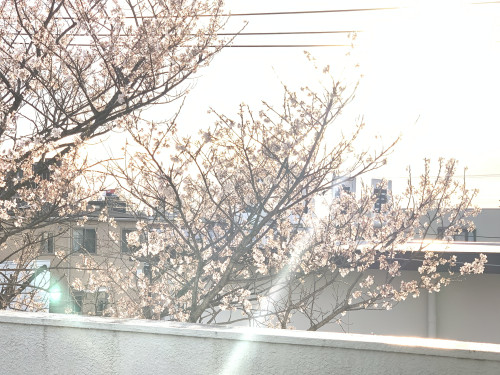 4D3A384B-6E53-422E-969D-825DB92800D5.jpeg