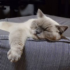 26ponちゃん_004.jpg