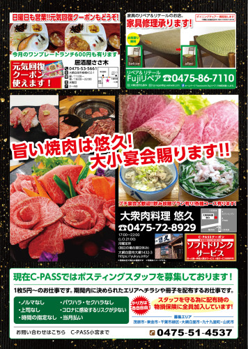 230100_C-PASS_p03-01.jpg