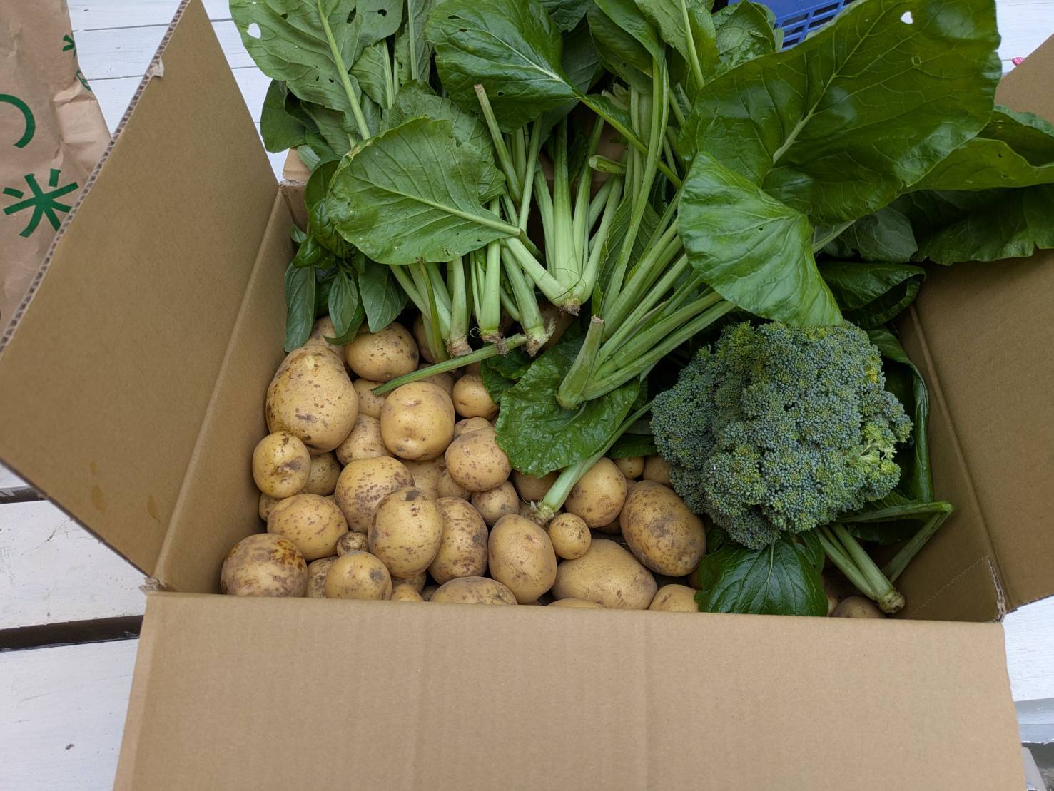 C-PASS農場　12月収穫しました！