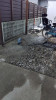 1775541044385.jpg