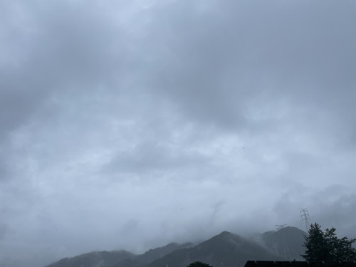 IMG_5429.jpeg