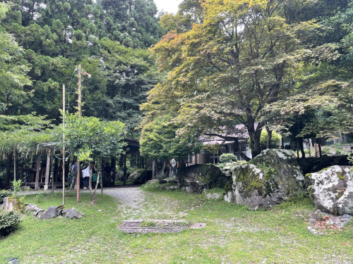 IMG_5582.jpeg