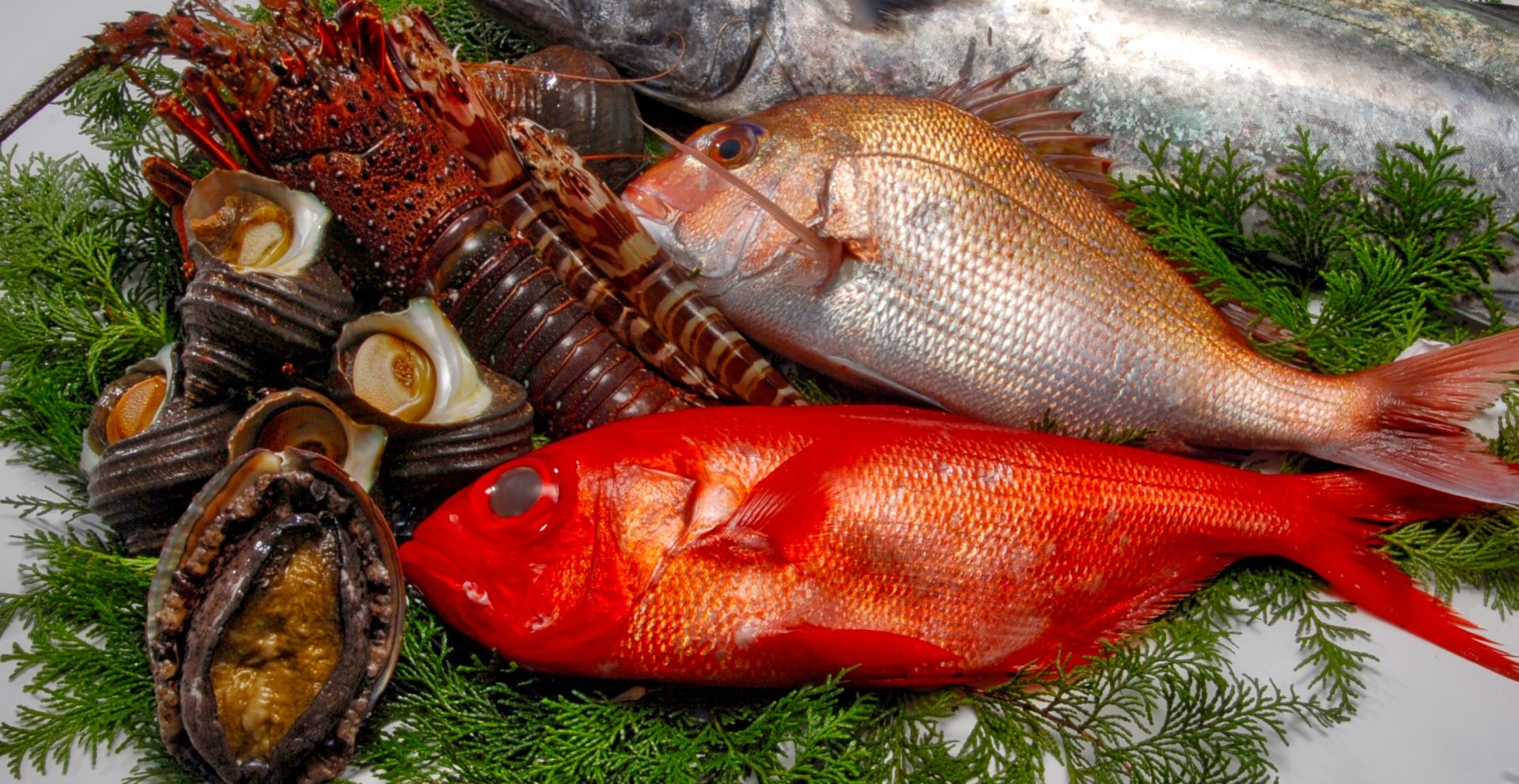 【 Seafood is superfood 】おいしい笑顔はお魚から。