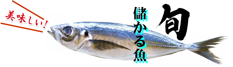 儲かる魚.jpg