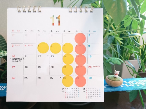 11月の臨時休業と限定割引コースのおしらせ