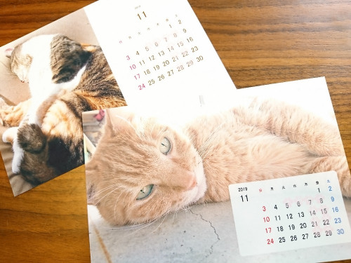復活の猫カレンダー