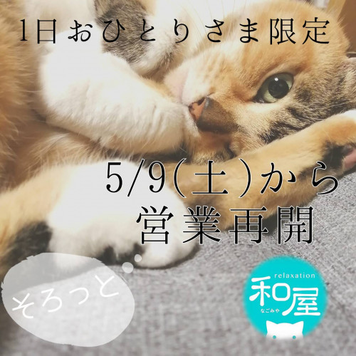 2020-05-11saikai.jpg