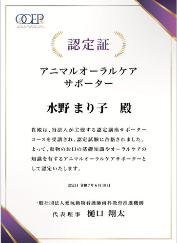image0 (2).jpeg