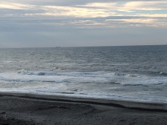 7時のロングビーチ
