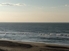 7時半のロングビーチ