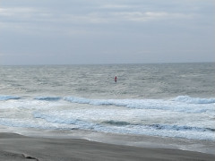 7時半のロングビーチ