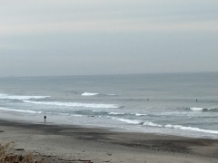 ７時のロングビーチ