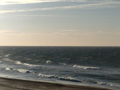 7時半のロングビーチ