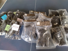 冬用　グローブ、ブーツ、ヘッドキャップ　準備完了