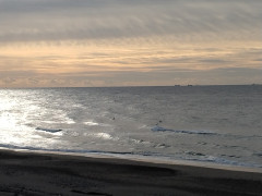 ８時のロングビーチ