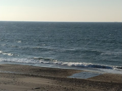 ８時のロングビーチ