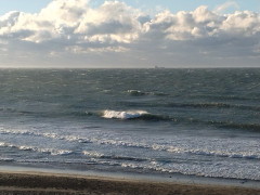 7時半のロングビーチ