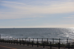 9時半のロングビーチ