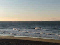 7時半のロングビーチ
