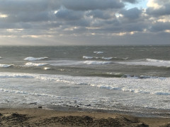 7時半のロングビーチ