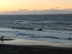 7時のロングビーチ