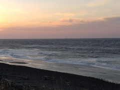 ７時半のロングビーチ