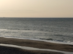 ８時のロングビーチ